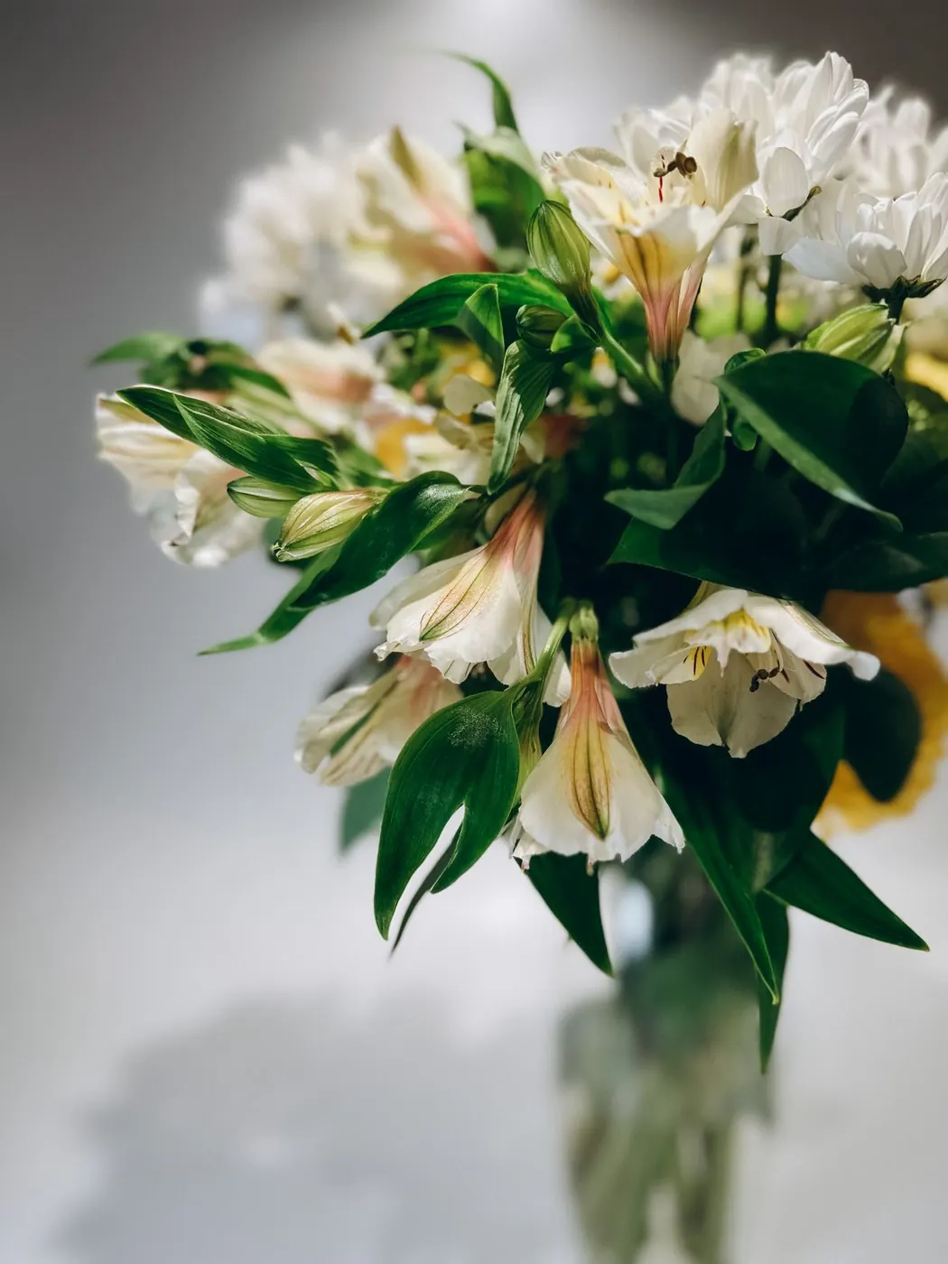 Flores rosadas y blancas para mamá